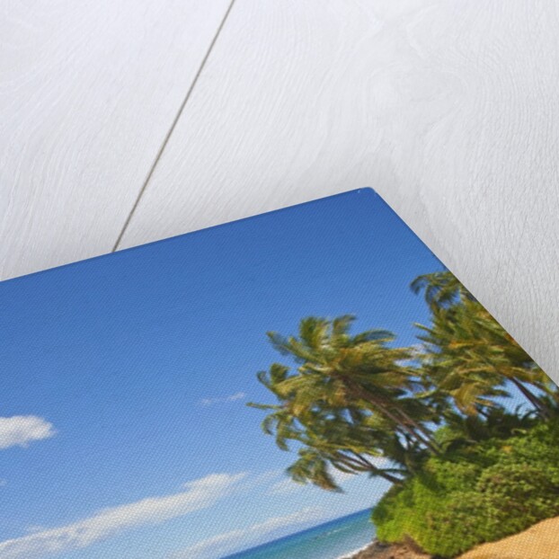 Chang's Beach on Maui by Anonymous