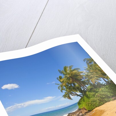 Chang's Beach on Maui by Anonymous