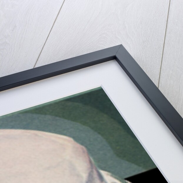 Chocolate devil's food cake with vanilla icing by Anonymous