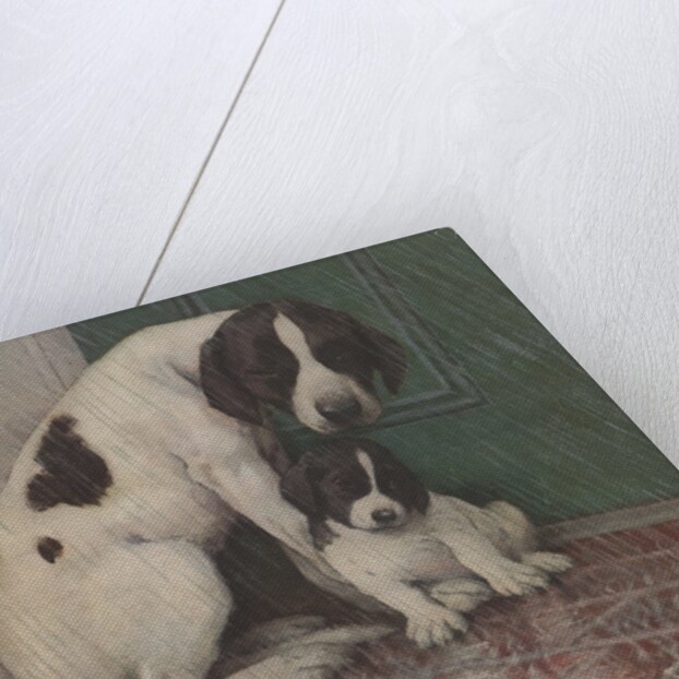 Dog and puppy in rain by Anonymous