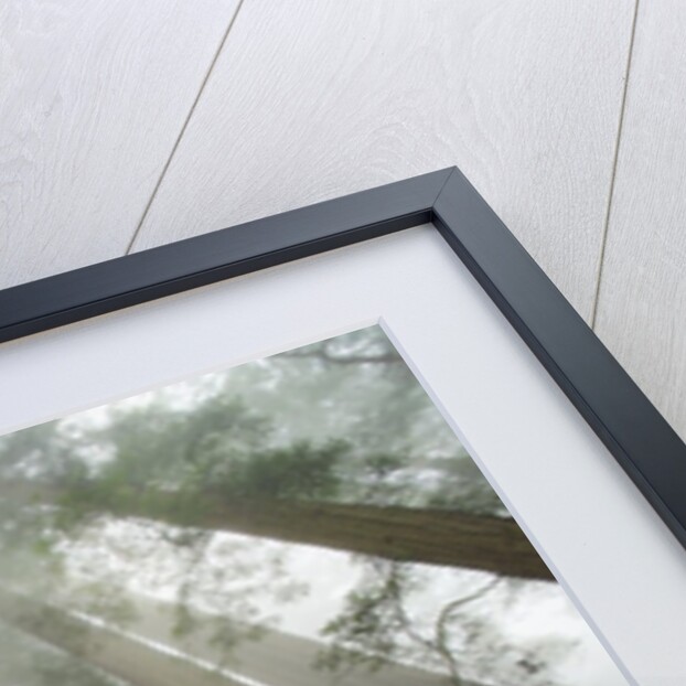 Redwood trees near Damnation Creek Trail by Anonymous