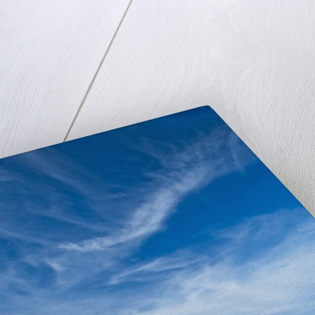 St. Joseph Atoll in the Seychelles by Anonymous