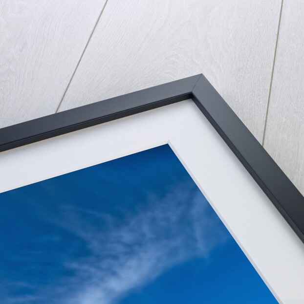 St. Joseph Atoll in the Seychelles by Anonymous