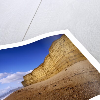 Burton Beach at Burton Bradstock on the Dorset Jurassic Coast by Anonymous