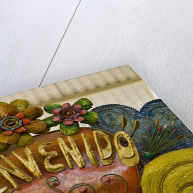 Welcome sign on a street in San Miguel de Allende, Mexico by Anonymous