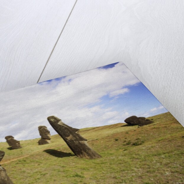 Moai at Rano Raraku on Easter Island by Anonymous