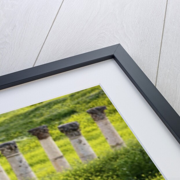 Roman columns rising above field of wildflowers by Anonymous
