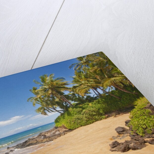 Secluded sandy beach on Maui by Anonymous