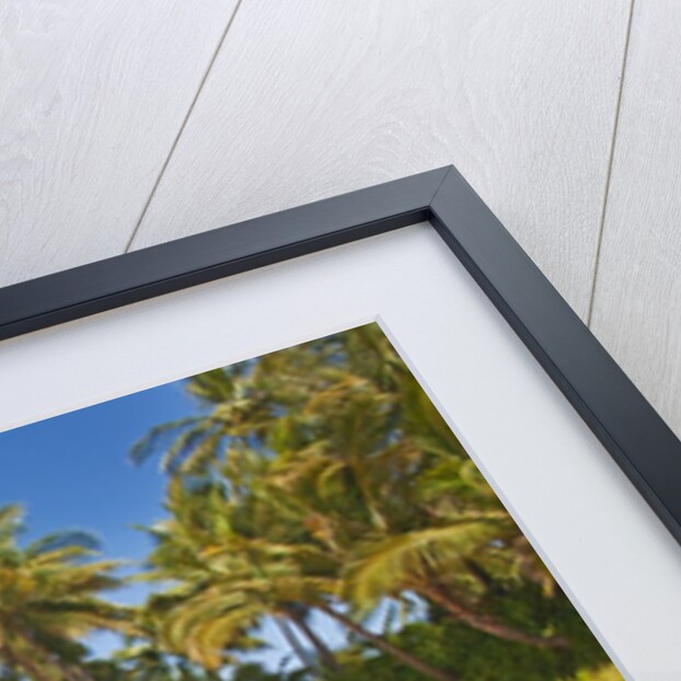 Secluded sandy beach on Maui by Anonymous