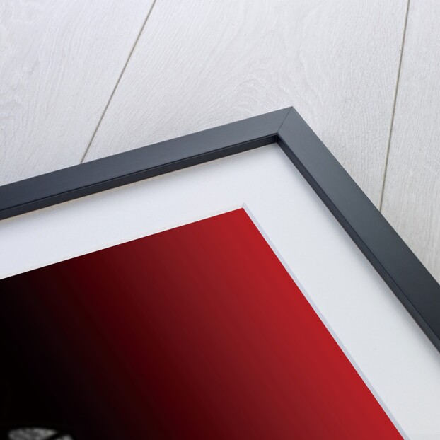 Boxer lying down by Anonymous