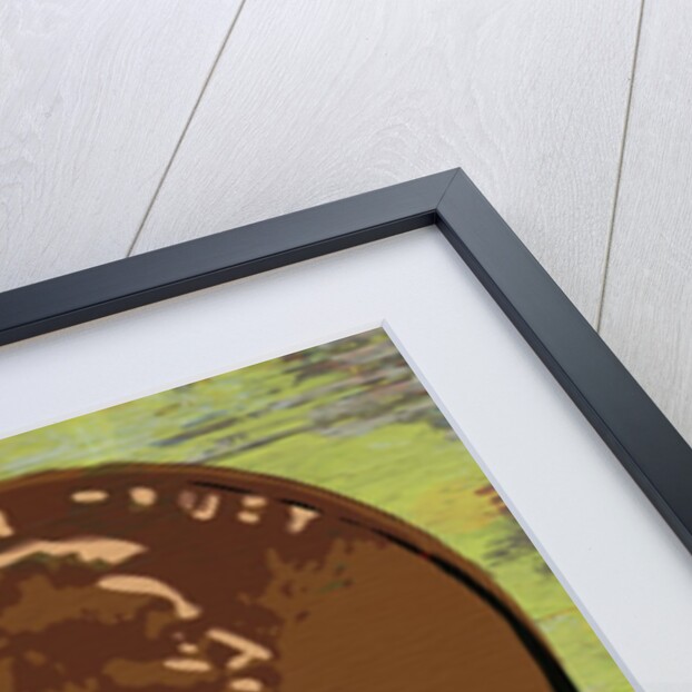 Allocating Money by Anonymous