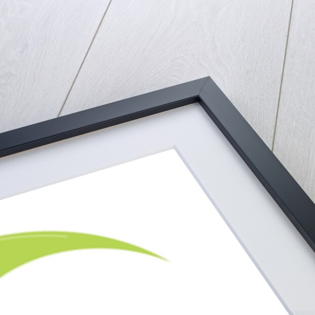 Moon Asleep by Anonymous