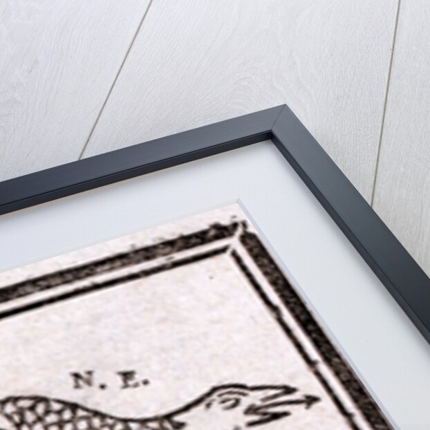 Join or Die political cartoon by Benjamin Franklin