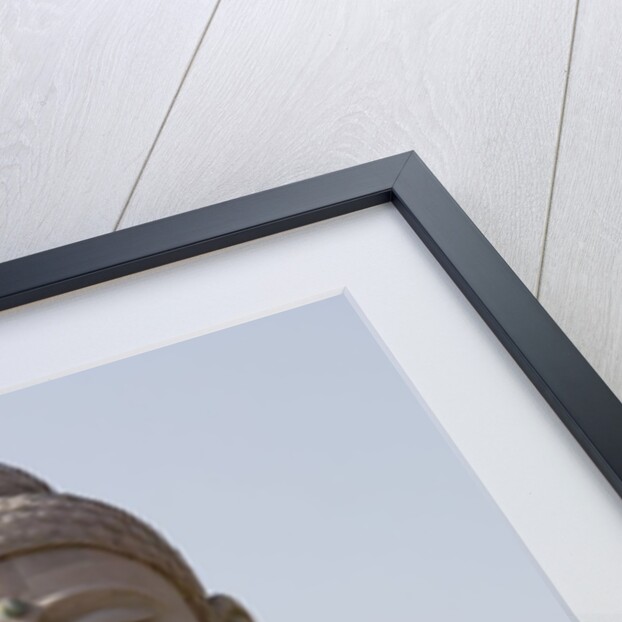 Low angle view of a statue of Buddha, The Great Buddha Statue, Bodhgaya, Gaya, Bihar, India by Anonymous