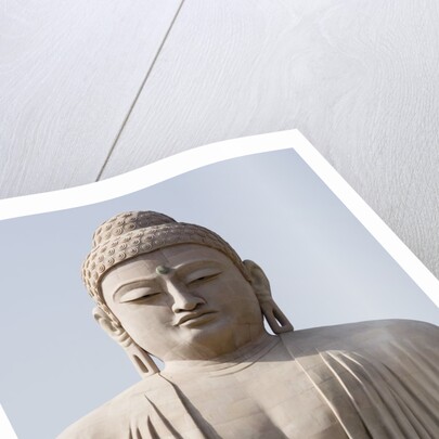 Low angle view of a statue of Buddha, The Great Buddha Statue, Bodhgaya, Gaya, Bihar, India by Anonymous