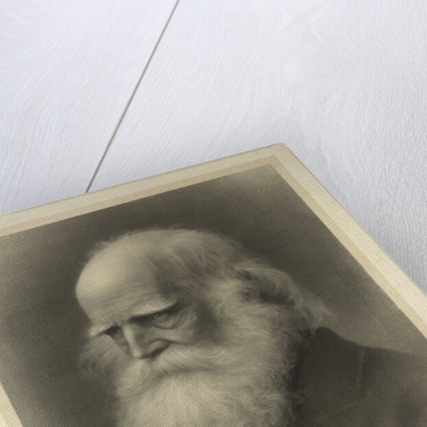 William Cullen Bryant by Anonymous
