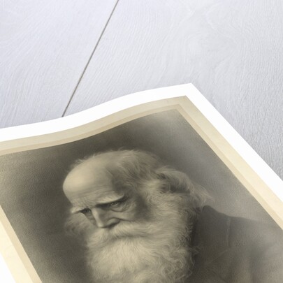 William Cullen Bryant by Anonymous
