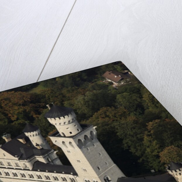 Schloss Neuschwanstein by Anonymous