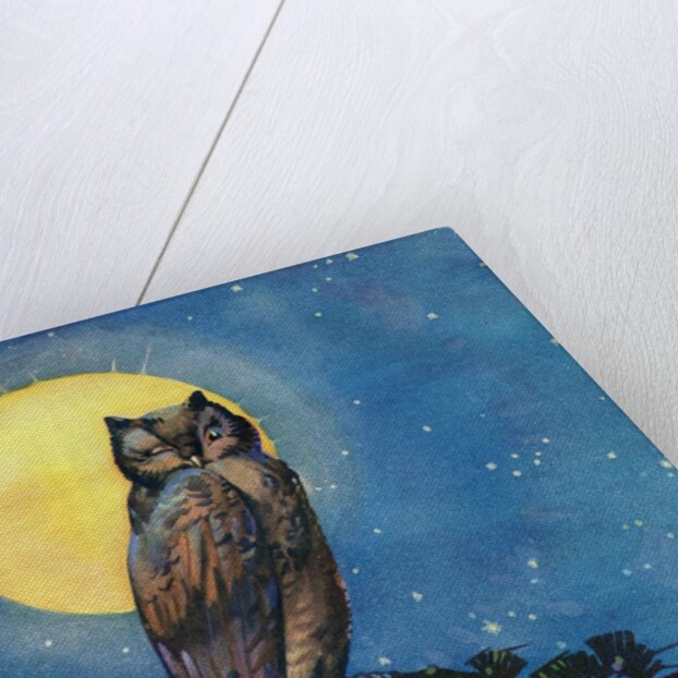 Winking owl with full moon by Anonymous