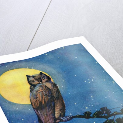 Winking owl with full moon by Anonymous