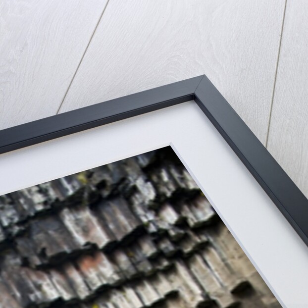 Svartifoss Waterfall, Skaftafell National Park, Iceland by Anonymous