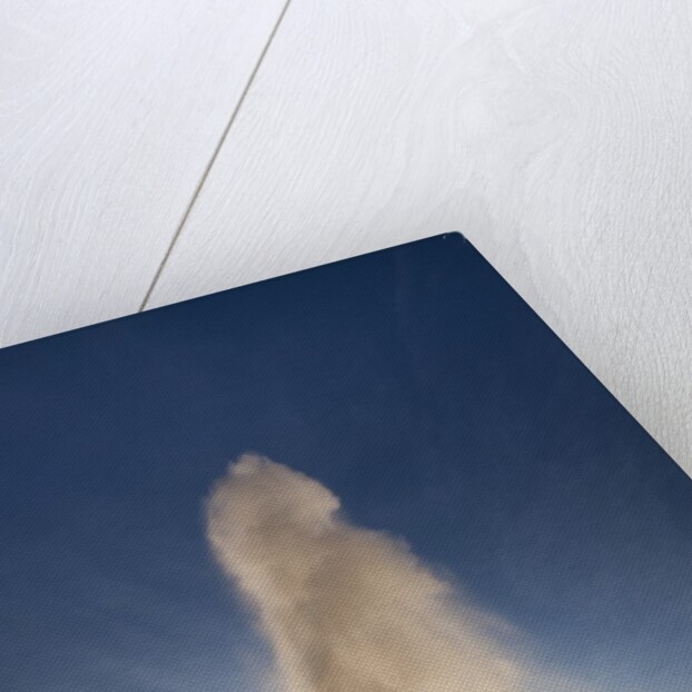 Strokkur Geyser at sunrise by Anonymous