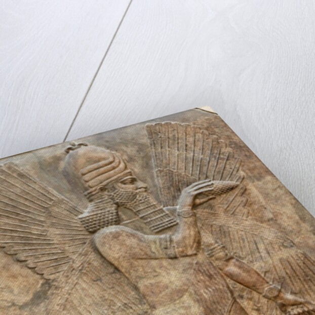 Assyrian relief of winged genie by Anonymous