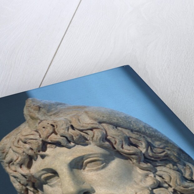 Head of Serapis wearing a bird skin by Anonymous