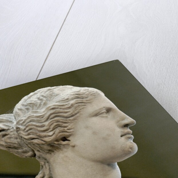 Detail of Venus de Milo by Anonymous