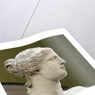 Detail of Venus de Milo by Anonymous