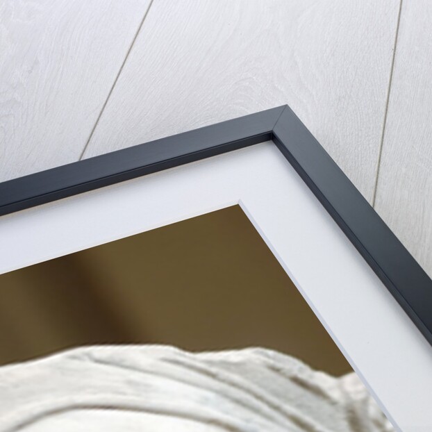 Roman portrait of Seleucus I Nicator by Anonymous