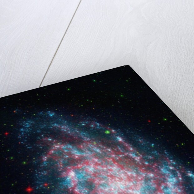 Triangulum Galaxy by Anonymous