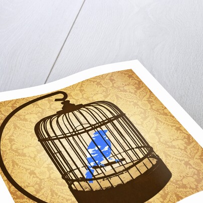 Bird in a cage by Anonymous