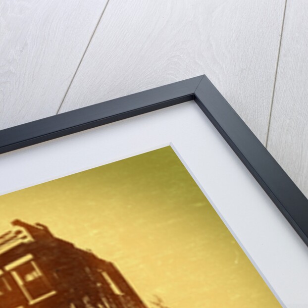 Urban roots by Anonymous