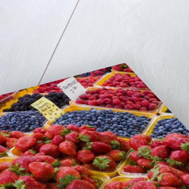Jean Talon Market with Fresh Berries on Display, Montreal, Quebec, Canada by Anonymous