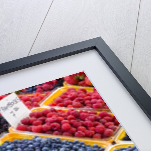 Jean Talon Market with Fresh Berries on Display, Montreal, Quebec, Canada by Anonymous