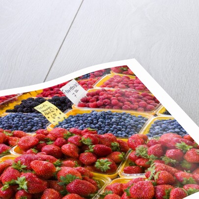 Jean Talon Market with Fresh Berries on Display, Montreal, Quebec, Canada by Anonymous