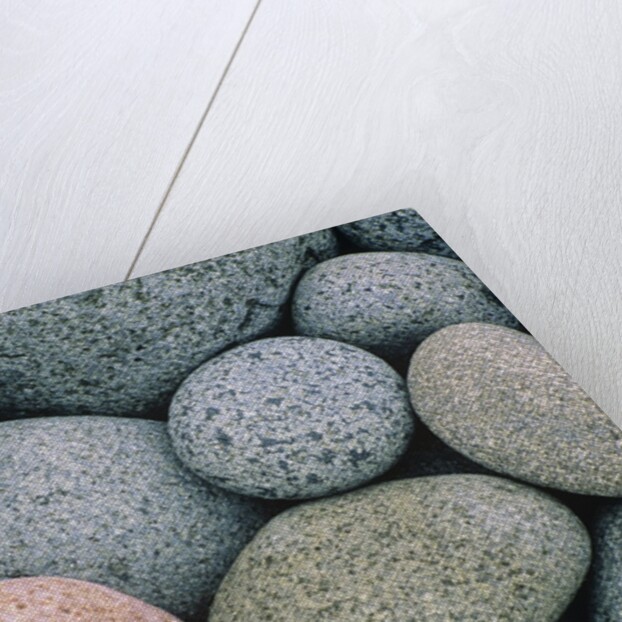 Detail of Pebbles on Long Island, Nova Scotia, Canada by Anonymous