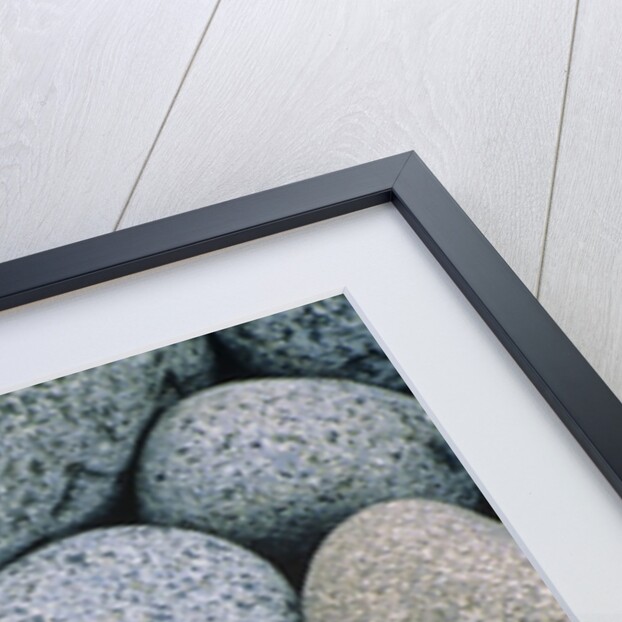 Detail of Pebbles on Long Island, Nova Scotia, Canada by Anonymous