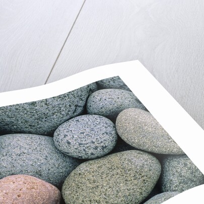 Detail of Pebbles on Long Island, Nova Scotia, Canada by Anonymous