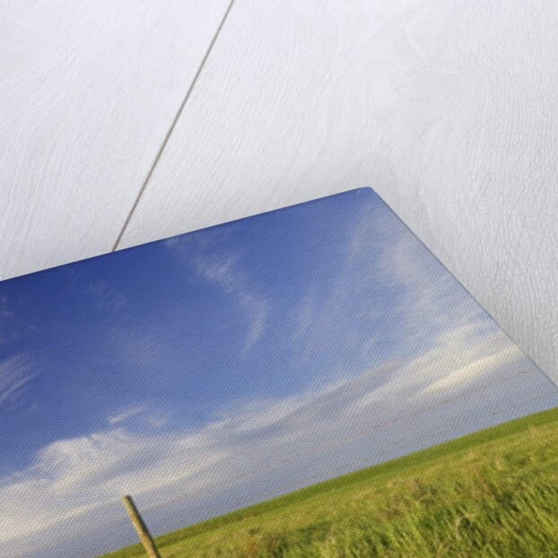 Active Prairie Sky and Farm Fenceline West of Calgary, Alberta, Canada. by Anonymous