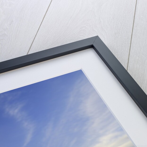 Active Prairie Sky and Farm Fenceline West of Calgary, Alberta, Canada. by Anonymous