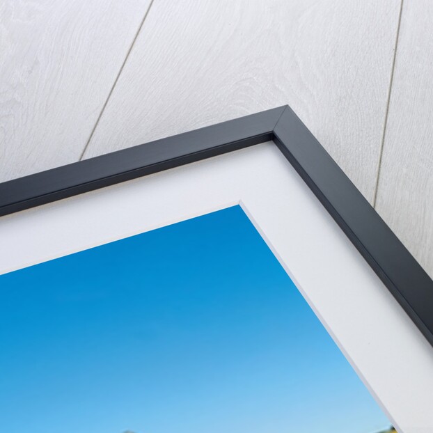 Sunflower Field, Old House, Beausejour, Manitoba, Canada. by Anonymous