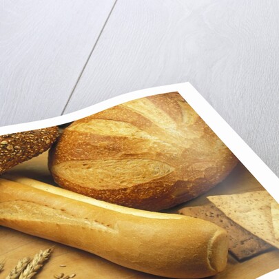 Bread and Wheat, Winnipeg, Manitoba, Canada. by Anonymous