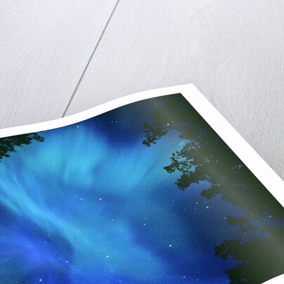 Northern Lights Or Aurora Borealis, Tilton Lake, Sudbury, Ontario, Canada. by Anonymous