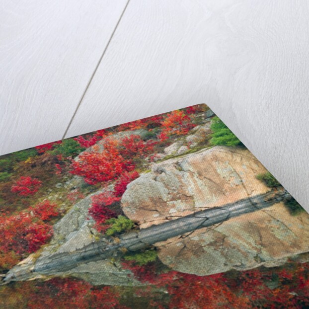 Autumn Colour Reflected in Murdock River, Sudbury, Ontario, Canada. by Anonymous