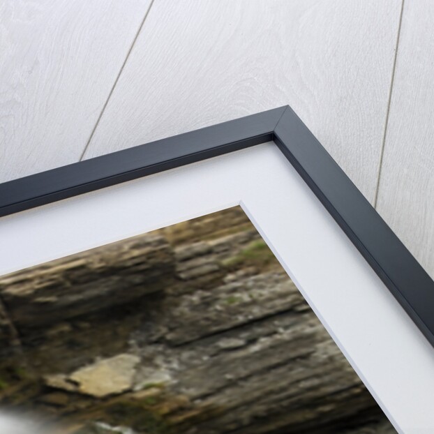 High Falls, Manitoulin Island Near Sheguiandah, Ontario, Canada. by Anonymous