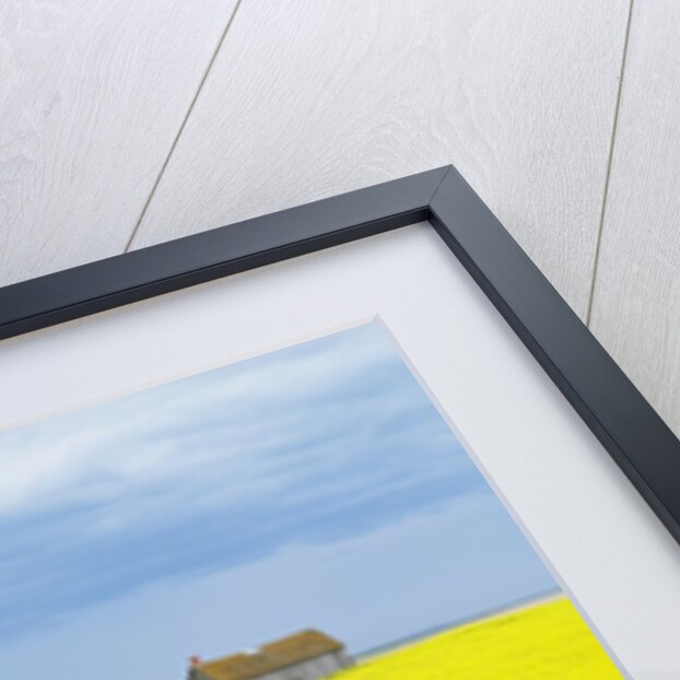 Barn and Canola Field, Southern Saskatchewan, Canada by Anonymous
