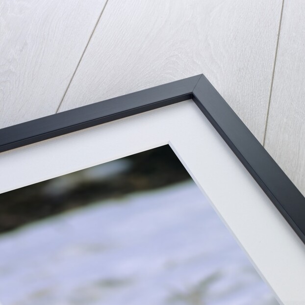 Adult Arctic Hare (Lepus Arcticus), Banks Island, Northwest Territories, Arctic Canada by Anonymous