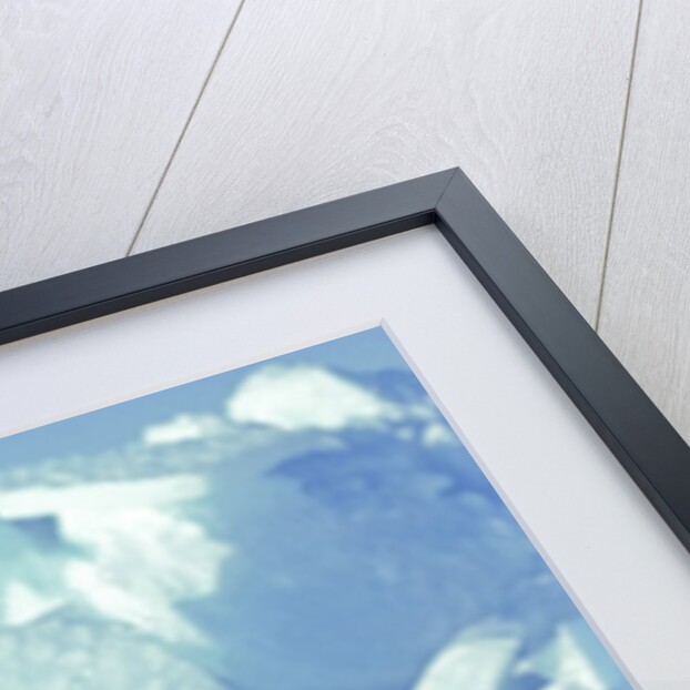 Three-month Old Twin Polar Bear Cubs (Ursus Maritimus) Resting on Their Mother's Back, Coastal Hudson Bay, Canada. by Anonymous